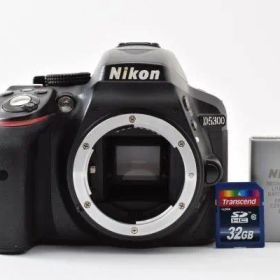 ★極上品★【ショット数6263回】 ニコン NIKON D5300 Y4035