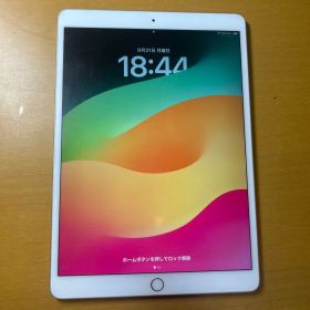 Apple ipad pro 10.5インチ256GBバテッリー容量