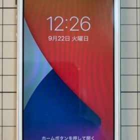 iPhone SE 第1世代 本体 simフリー
