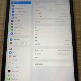 Apple iPad Pro 11インチ 第3世代 本体