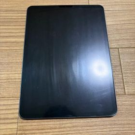 Apple iPad Pro 11インチ 第2世代 本体