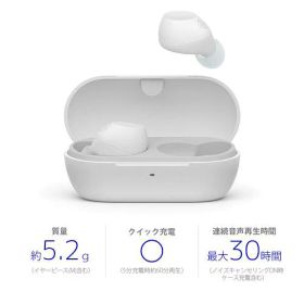 ソニー WF-C710N W ワイヤレス ノイズキャンセリング ステレオイヤホン ダイナミック型 Bluetooth対応 IPX4防水 ホワイト