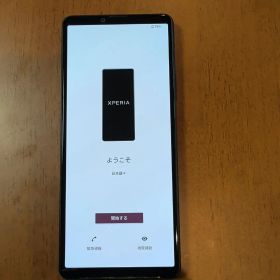 Xperia 10 IV A202SO 128GB 箱説明書付 初期化動作確認済