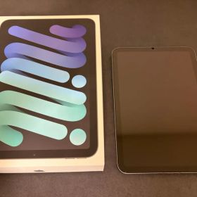美品多数おまけ iPad mini 7 A17 Cellular 256Gグレー