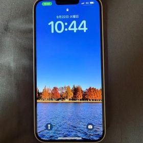 Apple iPhone 14 Plus 128GB スターライト SIMフリー