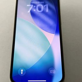 Apple iPhone 13 pro 128GB 本体 ゴールド