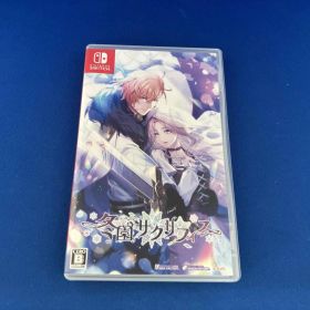 ニンテンドースイッチ 冬園サクリフィス