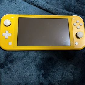 Nintendo Switch Lite ゲーム機本体 中古 8,000円 | ネット最安値の