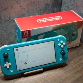 switch lite 本体