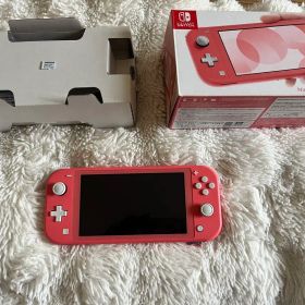 Nintendo Switch Lite 本体 256GB microSD付