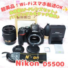 ニコン D5500✨美品 Wi-Fi 高画質 高性能 AF-Pレンズ 手ブレ補正