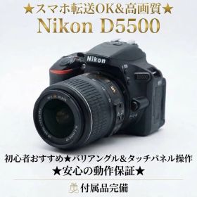 Nikon D5500 18-55mm VR 美品 Wi-Fi SD付