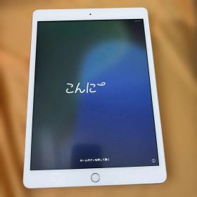 Apple iPad (第7世代) MW762J/A 本体