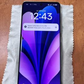 Xiaomi 13 Pro 12+512GB 本体