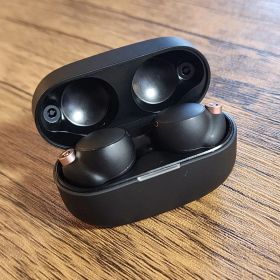 SONY WF-1000XM4 ワイヤレスイヤホン 本体 北米版