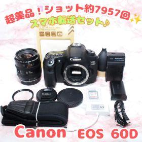 ✨キャノン EOS 60D✨美品 中級機 高画質 一眼レフカメラ スマホ転送