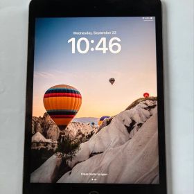 Apple iPad mini (第5世代) 64GB 本体