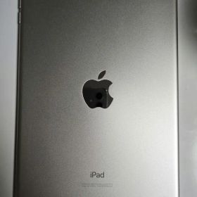 iPad mini5 シルバー Cellular SIMフリー 64GB