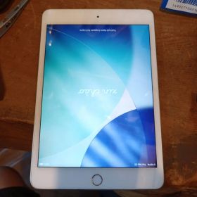 iPad mini 5世代 Wi-Fi Cellular 64GB 米国モデル