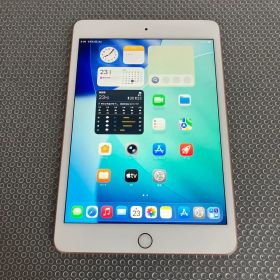 1587【早い者勝ち】電池良好☆iPad mini5 256GB SIMフリー☆