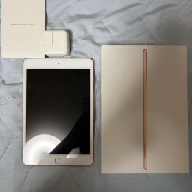 【美品】iPad mini5 ゴールド 256GB セルラーモデル
