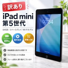 ☆【訳あり】iPad mini 第5世代 64GB スペースグレイ Wi-Fiモデル バッテリー89% 動作良好 即購入OK