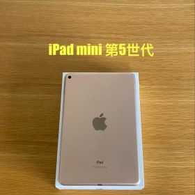 iPad mini 第5世代 64GB 本体 電池容量88% 良好状態