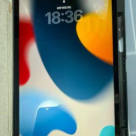 iPad Pro 11 256GB 第3世代(2021発売) 新品 95,999円 中古 | ネット最 iPad Pro 11 256GB 第3世代(2021発売) 新品 95,999円 中古 | ネット最