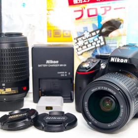 ニコン Nikon D5300⭐️ダブルレンズ⭐️Wi-Fi搭載⭐️自撮り