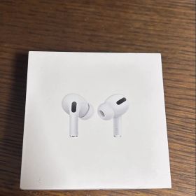 ジャンク品 Apple AirPods Pro 本体