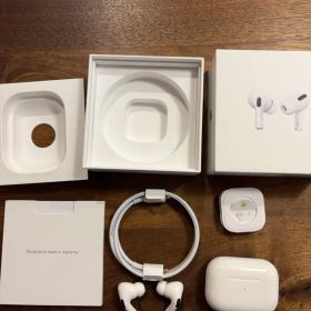 Apple AirPods Pro MWP22J/A ジャンク