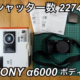 SONY α6000 ILCE-6000 ボディ