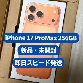 iphone17 pro max 256gb