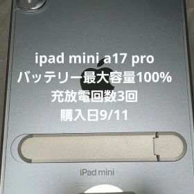 iPad mini A17 Pro 256gb wifiモデル ブルーカラー