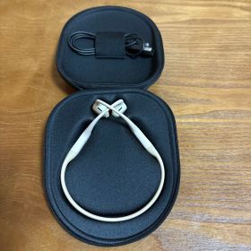 shokz OpenRun Mini