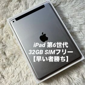 【1台限定】iPad 第6世代 32GB SIMフリー 【すぐ発送】【付属品】