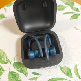 Beats Powerbeats Pro 完全ワイヤレスイヤホン