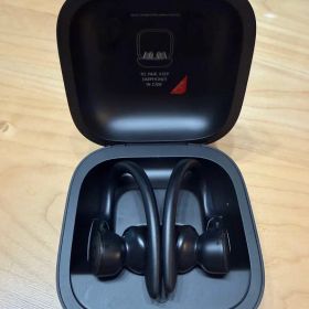 Beats Powerbeats Pro ワイヤレスイヤホン 本体