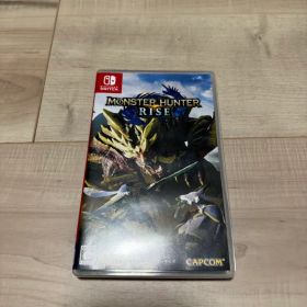 Nintendo Switch モンスターハンターライズ
