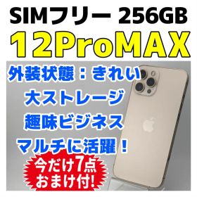 美品SIMフリー iPhone12ProMAX 128GB 本体 バッテリー新品