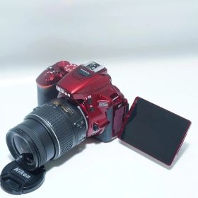 ショット数18,362枚 WiFi機能★Nikon D5500★ラクラク自撮り♪