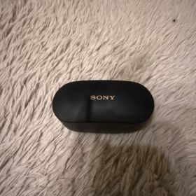 SONY WF-1000XM4 ワイヤレスイヤホン 本体