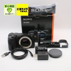 【極上品】 SONY α6600 ボディ ブラック ILCE-6600 ミラーレス一眼 #111VV0992