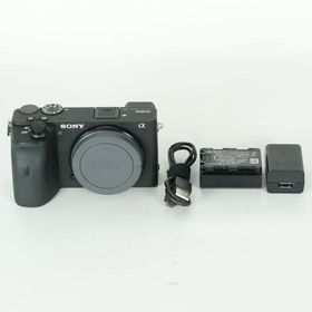 [美品 | シャッター数162,052回] SONY α6600（ILCE-6600） [ボディ] | SONY Eマウント