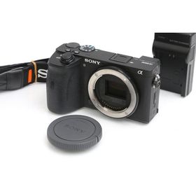 【全額返金保証】並品｜ソニー α6600 ILCE-6600 ボディ CA01-B7209-3Y2C
