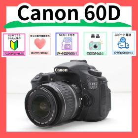 美品 豪華セット Canon EOS 60D 初心者向け すぐ使える