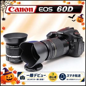 望遠300mm Canon EOS 60D Wレンズ 動画対応 初心者 一眼レフ