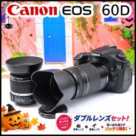 撮る楽しさ Canon EOS 60D 300mm超望遠 Wレンズ 動画対応
