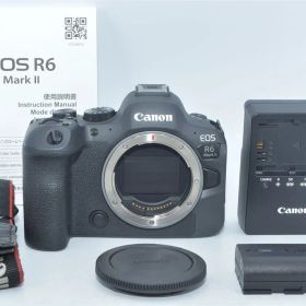 1371★新品級・ショット数39000回以下★Canon ミラーレス一眼カメラ EOS R6 Mark II ボディ