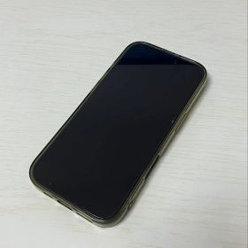 Apple iPhone 16 Pro 本体